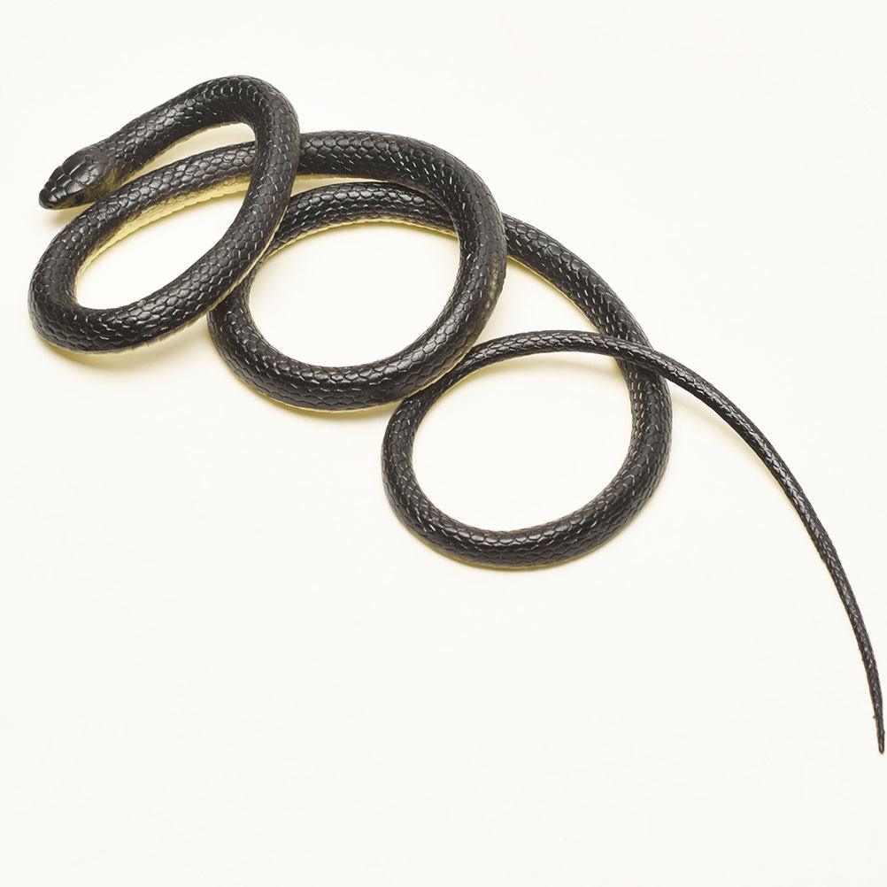 Realistic Green Snake Prop for - Prank Toys 评论和价格